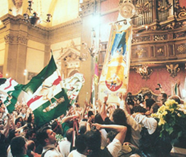 Luciano Schifano Progetti